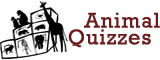 animal quizzes