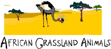 African Grassland Animal game