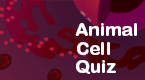 animal cell tutorial