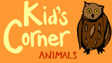 kids corner animals