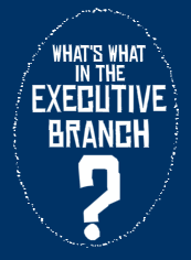 executive branch game